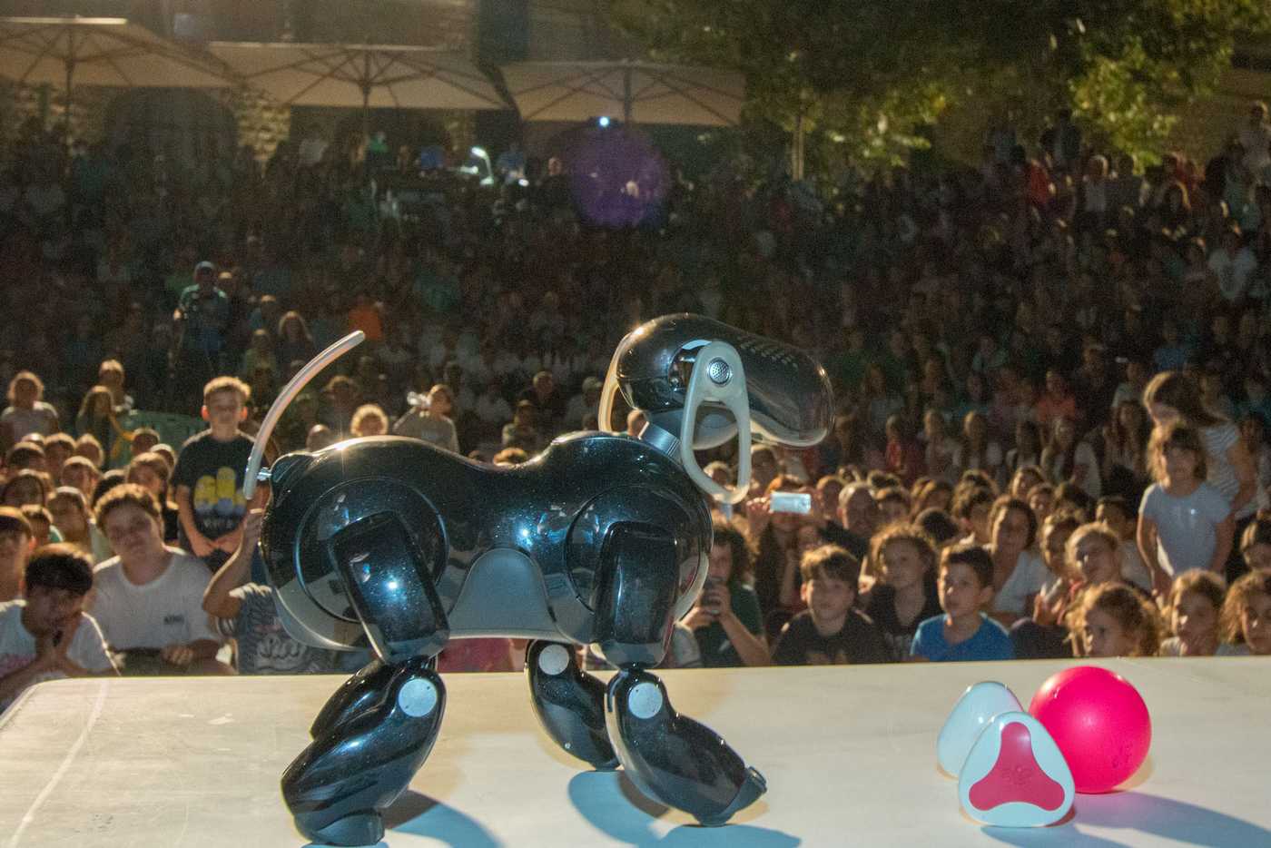 סיכום ליל המדענים 2016