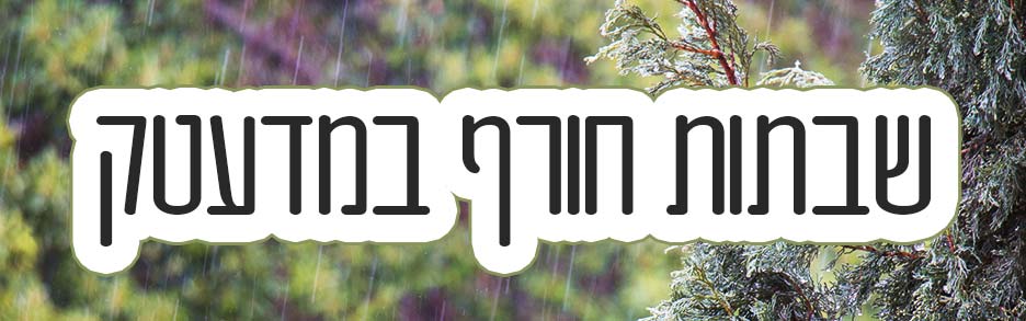 שבתות חורף במדעטק - המקום החם והחכם בסוף השבוע